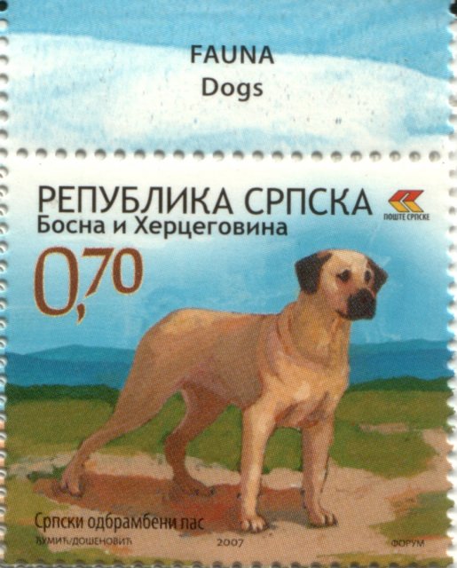 Marka RS, Srpski odbranbeni pas Nenada Gavrilovica.jpg, 246 KB