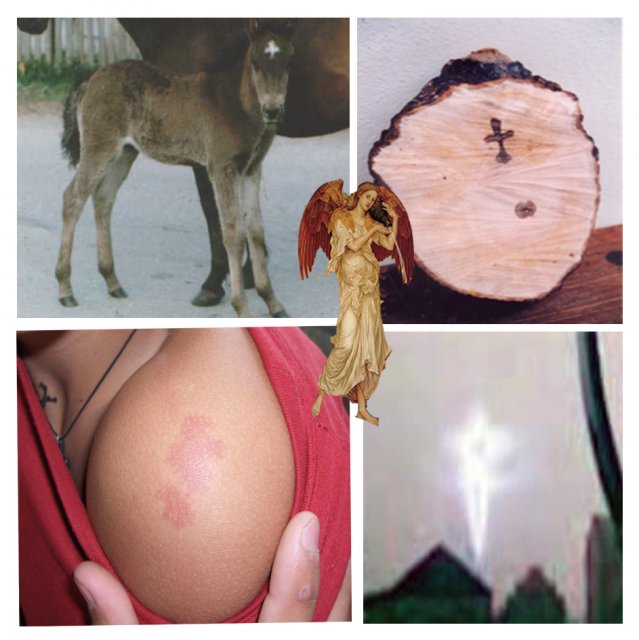 Svi Krsdtovi, foto shop.jpg, 507 KB